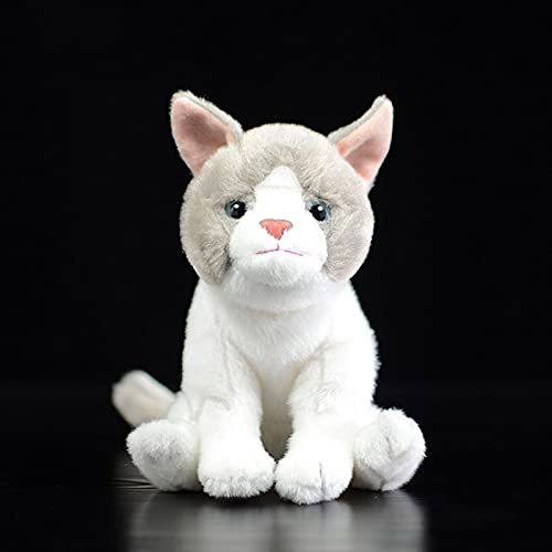 WJCRYPD Realista Lindo Gris Y Gato Gatito Gatito Peluche Peluche Juguete Lindo Simulación Real Muñeca Animal Linda muñeca de Peluche Qf Shop (Color : Grey White, Height : 14cm)