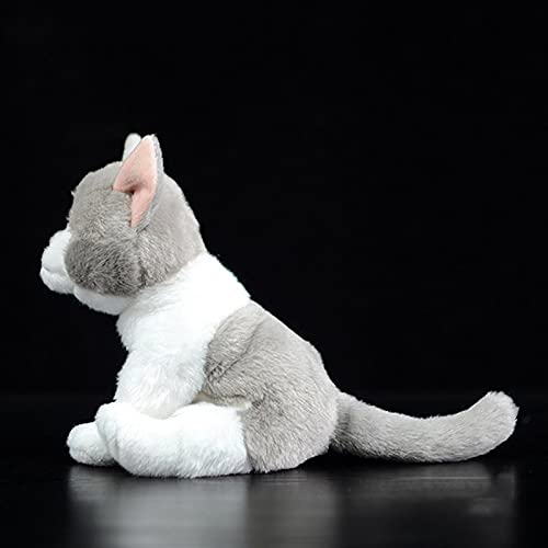 WJCRYPD Realista Lindo Gris Y Gato Gatito Gatito Peluche Peluche Juguete Lindo Simulación Real Muñeca Animal Linda muñeca de Peluche Qf Shop (Color : Grey White, Height : 14cm)