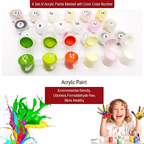 WONZOM Pintura por Números para Adultos, DIY Pintura Pintar por Numeros Kits sobre Lienzo, Globos de Colores 16 * 20 Pulgadas Sin Marco