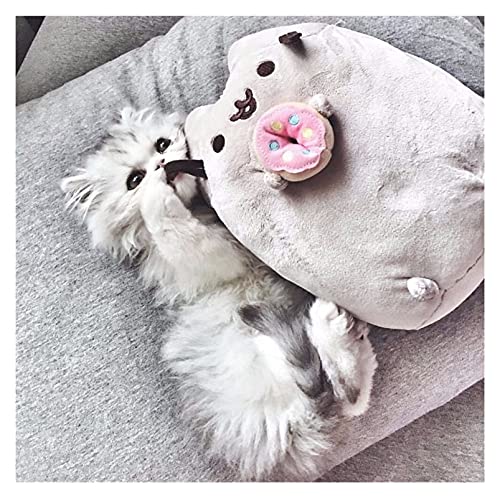 WWWL Peluche, Kawaii Cat Sushi Angel Galleta Patatas Fichas Donut Relleno Y Peluche Animales Lindo Pussy Juguetes para Niñas (Color : Cake, Size : 15CM)