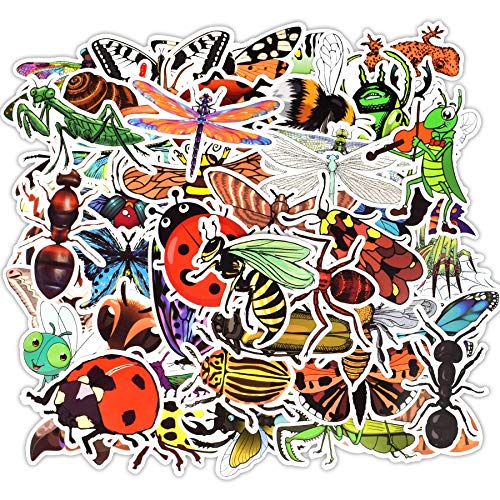 XCVBN Etiqueta engomada del Insecto de la Naturaleza Mariposa Hormiga Mariquita Aprendizaje temprano Pegatinas educativas para niños para Scrapbook Bike Equipaje Laptop 50 Piezas