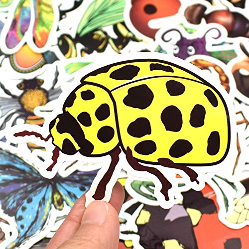 XCVBN Etiqueta engomada del Insecto de la Naturaleza Mariposa Hormiga Mariquita Aprendizaje temprano Pegatinas educativas para niños para Scrapbook Bike Equipaje Laptop 50 Piezas