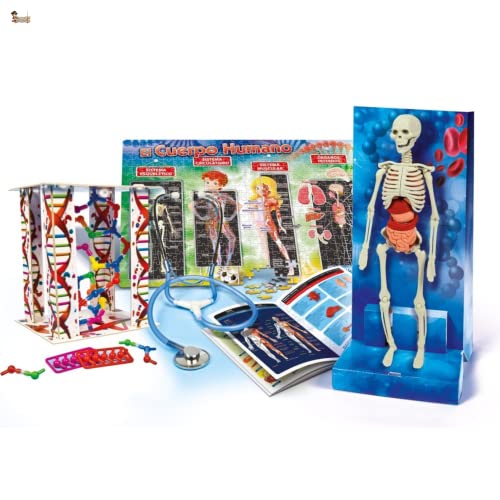BricoLoco. Juego juguete educativo el cuerpo humano. Juego anatomía. El cuerpo humano desmontable.