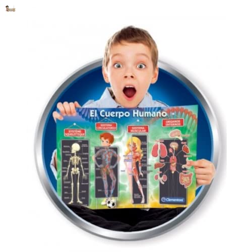 BricoLoco. Juego juguete educativo el cuerpo humano. Juego anatomía. El cuerpo humano desmontable.
