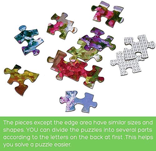 España Casa Batllo Barcelona Rompecabezas para adultos y niños 1000 piezas Puzzle de madera para regalos Recuerdos especiales de viaje (compra 1000 piezas de rompecabezas y consigue 300 piezas gratis