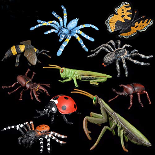 FLORMOON Figuras de animales realistas 5 piezas Modelo de acción de insectos Incluye Mantis Mariquita Unicornio Staghorn Araña Juguetes educativos de aprendizaje Set de regalo de cumpleaños para niños