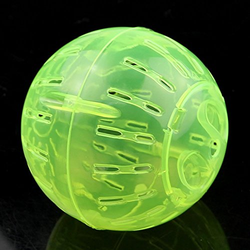 Lulaxy 1pz Juguete Bola de Ejercicio de Jugar Rata Gerbillinae Jogging Raton Roedor Mascota