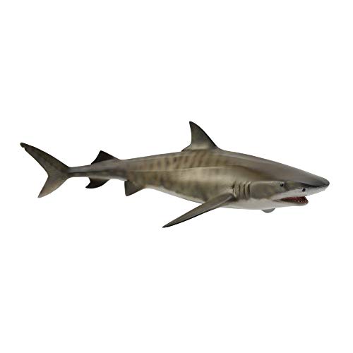 Collecta Tiger Shark