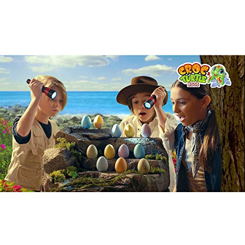 Croc & Turtle Eggs - Pack de 4 Sobres