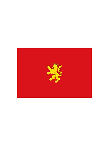 DISBACANAL Bandera Zaragoza