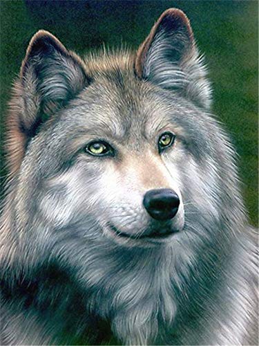 DIY pintura de animales por números kits de pintura de lienzo imágenes por números imagen de lobo para la decoración del hogar de la sala de estar A5 40x50cm