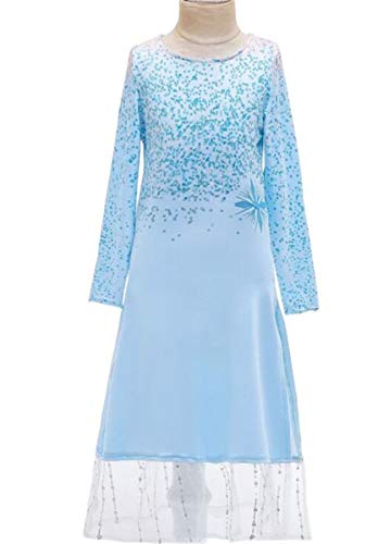 Emin Disfraz infantil de princesa Elsa de Frozen, disfraz de princesa Elsa de manga larga y pantalones, conjunto para fiestas de cumpleaños, carnaval, Halloween, cosplay, carnaval, invierno