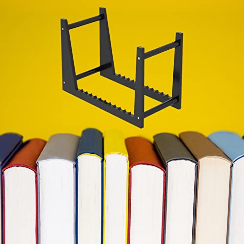 F Fityle Soporte para Discos de Vinilo acrílico Soporte para álbumes Regalos de diseño Oblicuo Capacidad para 50 Discos LP - Negro