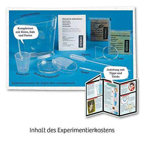 KOSMOS- Urzeit-Krebse Kit de experimentación para niños (657871)