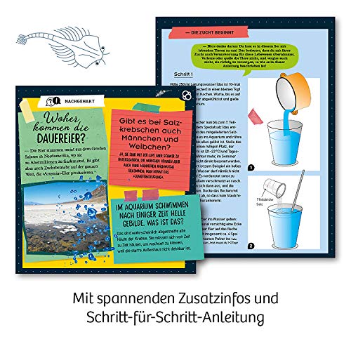 KOSMOS- Urzeit-Krebse Kit de experimentación para niños (657871)
