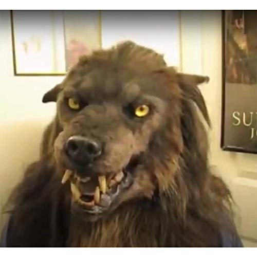 MeiLiu Máscara de Lobo, máscara de Cabeza de Animal de látex, Accesorios de decoración de Disfraces de Halloween, Gorros de Lobo Realista para Adultos para Fiesta de Halloween