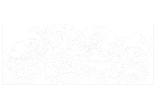 murando Pintura por Números Cuadros de Colorear por Números Kit para Pintar en Lienzo con Marco DIY Bricolaje Adultos Niños Decoracion de Pared Regalos - Flores 100x40 cm - DIY n-A-0132-d-a