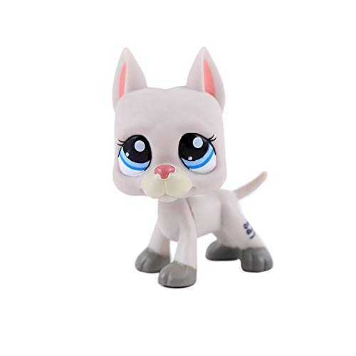 Nuevo Lps Juguete Gato Perro Mascotas Tienda Juguete Negro Pelo Corto Gato Rosa Perro Gran Colección Dane Juego De Papel De Acción Los Niños Los Mejores Regalos 14