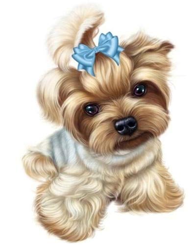 Pintura al óleo de bricolaje por números en lienzo animal regalo único para colorear por números perro para adultos Kits sin marco decoración del hogar A1 40x50cm