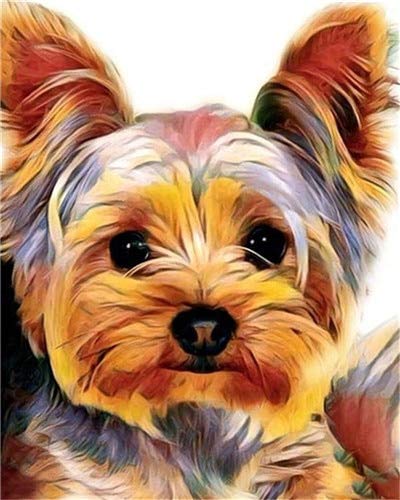 Pintura al óleo de bricolaje por números en lienzo animal regalo único para colorear por números perro para adultos Kits sin marco decoración del hogar A1 40x50cm