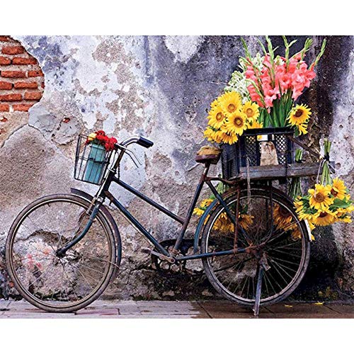 Pintura al óleo de bricolaje por números en lienzo, pintura sin marco de bicicleta por números, paisaje, pintura digital, decoración del hogar, A1 60x80cm