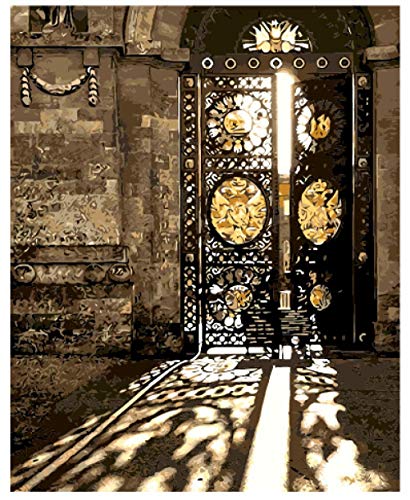 Pintura por números Puerta Vintage pintura por números para adultos, niños y principiantes, pintura de pintura por números en lienzo,decoración del hogar sin marco 40 * 50 cm