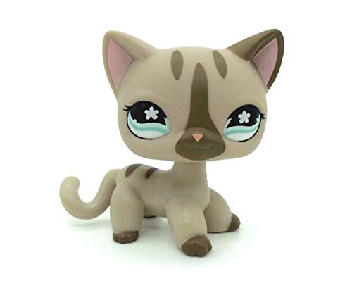 WooMax Mini Toy Grey Star Eye Cat + Diamond Stripe Cat con 8 Piezas de Repuesto para ni?os ni?as Regalo para ni?os