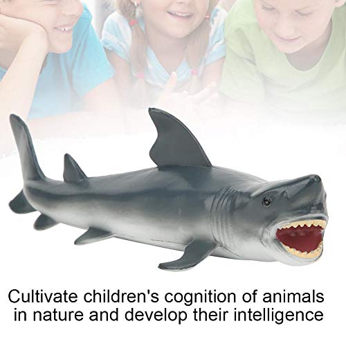 Zerodis Gran Juguete de tiburón Blanco, simulación Realista Modelo de Animal Marino Océano Juguete de tiburón Modelo Escritorio Hogar Oficina Decoración Juguete Educativo