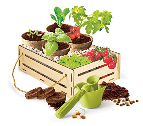Clementoni- Science Jardín y huerto Play para Futura científica, Juego botánico Infantil, versión Francesa, Fabricado en Italia, 7 años y más, 52518
