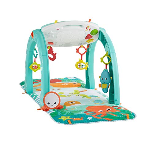 Fisher-Price- Juguete, Multicolor (Mattel FNF24) , color/modelo surtido