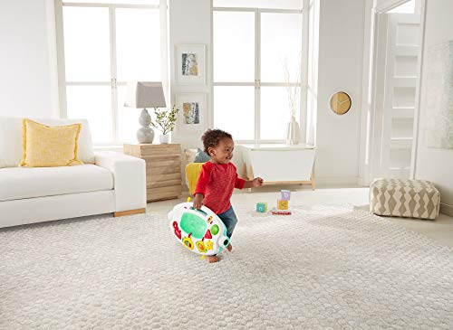 Fisher-Price- Juguete, Multicolor (Mattel FNF24) , color/modelo surtido