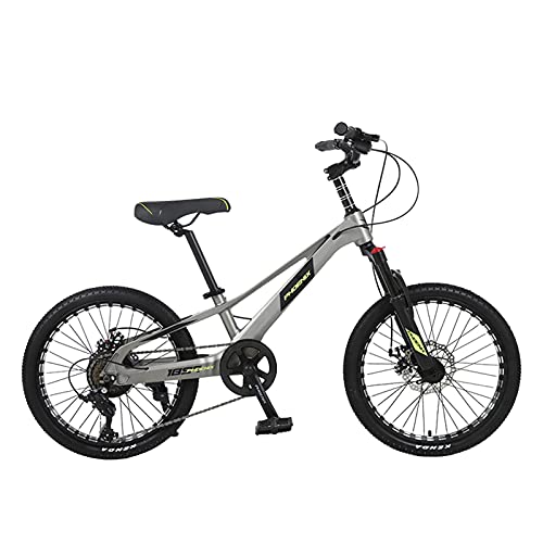 FUFU Bicicletas De Montaña, Bicicletas For Niños, 20 Pulgadas, Bicicletas De Velocidad Variable, Bicicletas De Absorción De Golpes, Adecuadas For 9-14 Años De Edad (Color : Red)