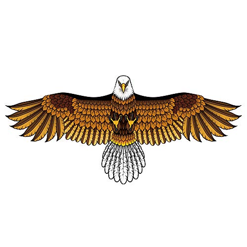 Mint's Colorful Life Eagle Cometa para niños y adultos con envergadura de 65 pulgadas