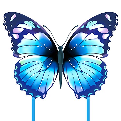 Mint's Colorful Life Mariposa dragón de dragón para niños y adultos (azul)