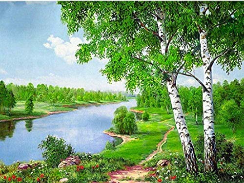Pintura por números para principiantes y niños en lienzo de lino decoración del hogar pintura al óleo (sin marco) - Forest River