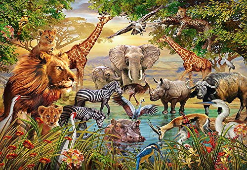 Ravensburger- Puzzle de 500 Piezas para Adultos y niños de 10 años en adelante, Multicolor (14809)