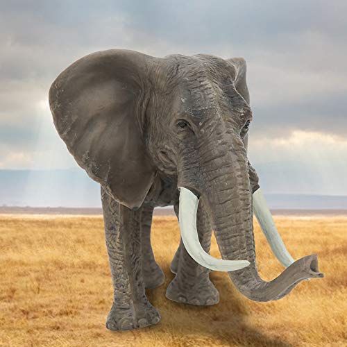 Zerodis Figuras de Elefante Toro Africano, simulación en Miniatura sólido Modelo de Animal Salvaje Juguete Realista colección Decorativa Regalo para niños Naturaleza Ciencia Aprendizaje