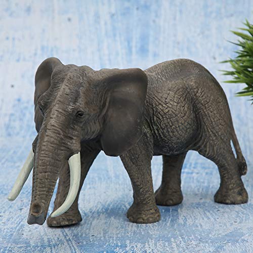 Zerodis Figuras de Elefante Toro Africano, simulación en Miniatura sólido Modelo de Animal Salvaje Juguete Realista colección Decorativa Regalo para niños Naturaleza Ciencia Aprendizaje