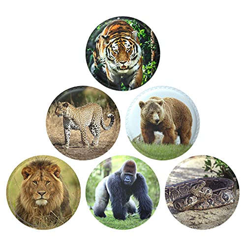 AISIR Pegatinas de Velco Set (6 piezas) Para Mochila para niños Mochilas Escolares -Serie de animales