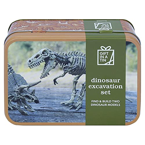 Apples to Pears Dinosaur Excavation Kit