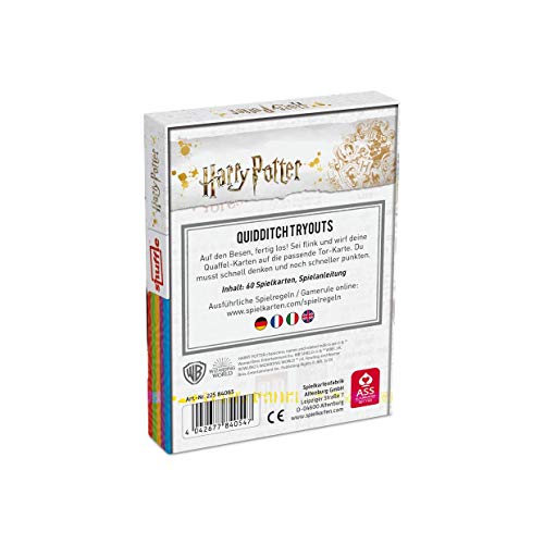 AS 22584065 Harry Potter Quidditch Tryouts - Figura Decorativa