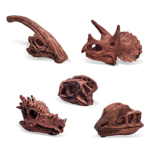 ERUYN Paquete de 11 Juguetes de Calavera de Dinosaurio Figuras realistas Juguetes Modelo para niños pequeños decoración jurásica para niños decoración del hogar de Oficina Estilo A