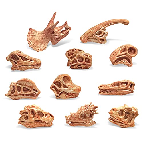 ERUYN Paquete de 11 Juguetes de Calavera de Dinosaurio Figuras realistas Juguetes Modelo para niños pequeños decoración jurásica para niños decoración del hogar de Oficina Estilo A