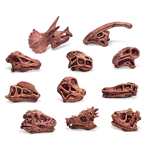 ERUYN Paquete de 11 Juguetes de Calavera de Dinosaurio Figuras realistas Juguetes Modelo para niños pequeños decoración jurásica para niños decoración del hogar de Oficina Estilo A