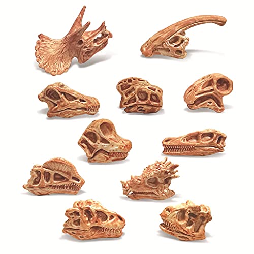 ERUYN Paquete de 11 Juguetes de Calavera de Dinosaurio Figuras realistas Juguetes Modelo para niños pequeños decoración jurásica para niños decoración del hogar de Oficina Estilo A