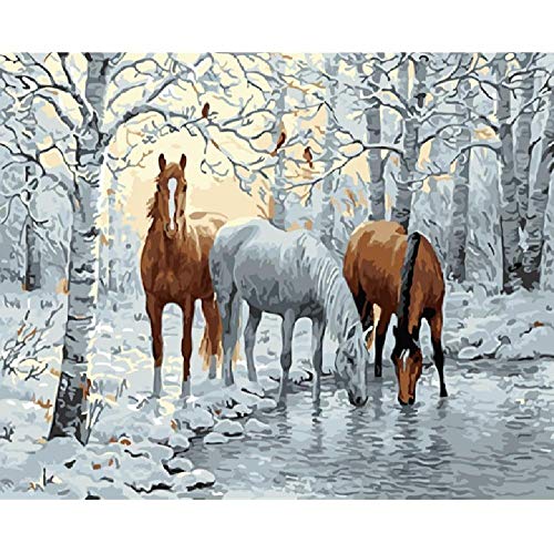 Kpoiuy Pintura Sin Marco por NúMeros Pintura por NúMero para DecoracióN del Hogar Cuadro Pintura Al óLeo para Sala Animal Beber El Caballo40 * 50 cm Sin Marco De Imagen