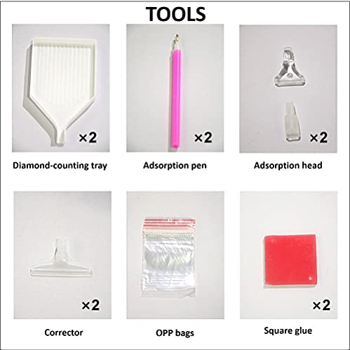 Kucyaty 5D Pintura Diamante Adulto Niños Diy Diamond Painting Kit Completo,60×80Cm,Herramienta×2,Diario Del Futuro,Mirai Nikki Mosaicos Cuadro Cristal Padres Hijos Descompresión Juguete