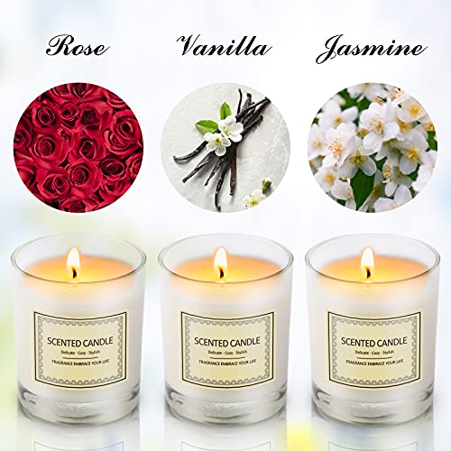 LA BELLEFÉE Vela perfumada en tarro de cera de soja, ideal para aniversario, cumpleaños, baño, yoga, Navidad, madre, padre, día de San Valentín, 3 paquetes