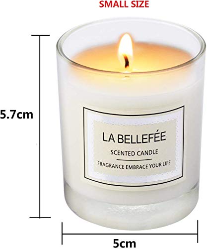 LA BELLEFÉE Vela perfumada en tarro de cera de soja, ideal para aniversario, cumpleaños, baño, yoga, Navidad, madre, padre, día de San Valentín, 3 paquetes