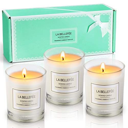LA BELLEFÉE Vela perfumada en tarro de cera de soja, ideal para aniversario, cumpleaños, baño, yoga, Navidad, madre, padre, día de San Valentín, 3 paquetes